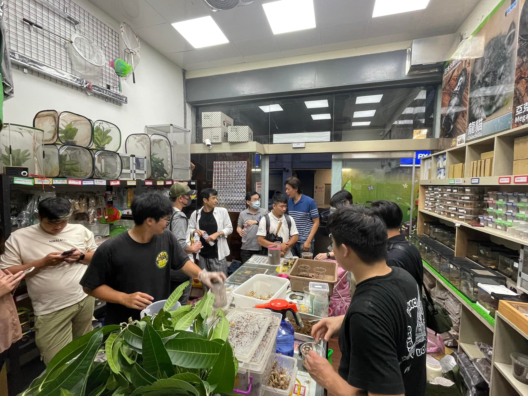 大師班課程照片